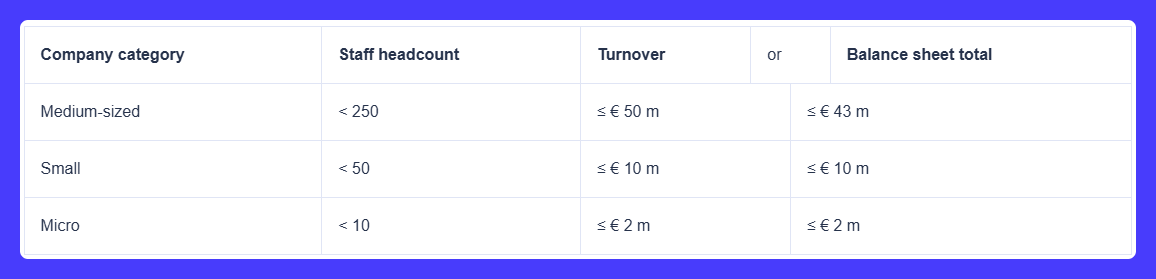 A table showing the company category and the balance sheet total.
