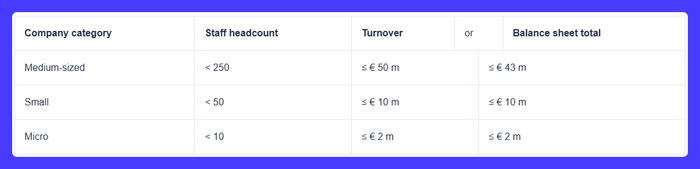 A table showing the company category and the balance sheet total.