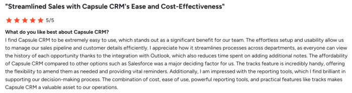 A 5-star customer review for Capsule CRM, highlighting its ease of use, cost-effectiveness, and features.