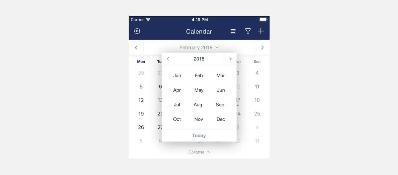 Calendar view in Capsule Mobile.