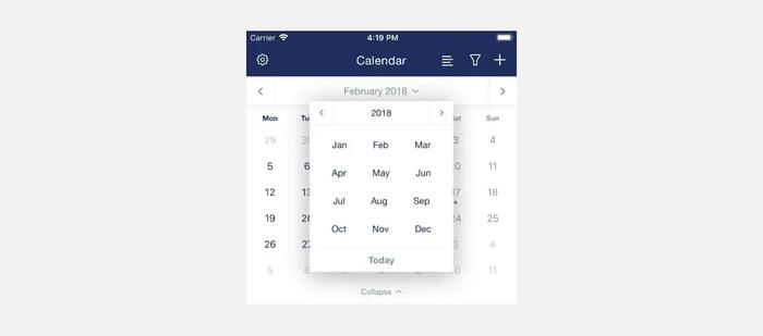 Calendar view in Capsule Mobile.