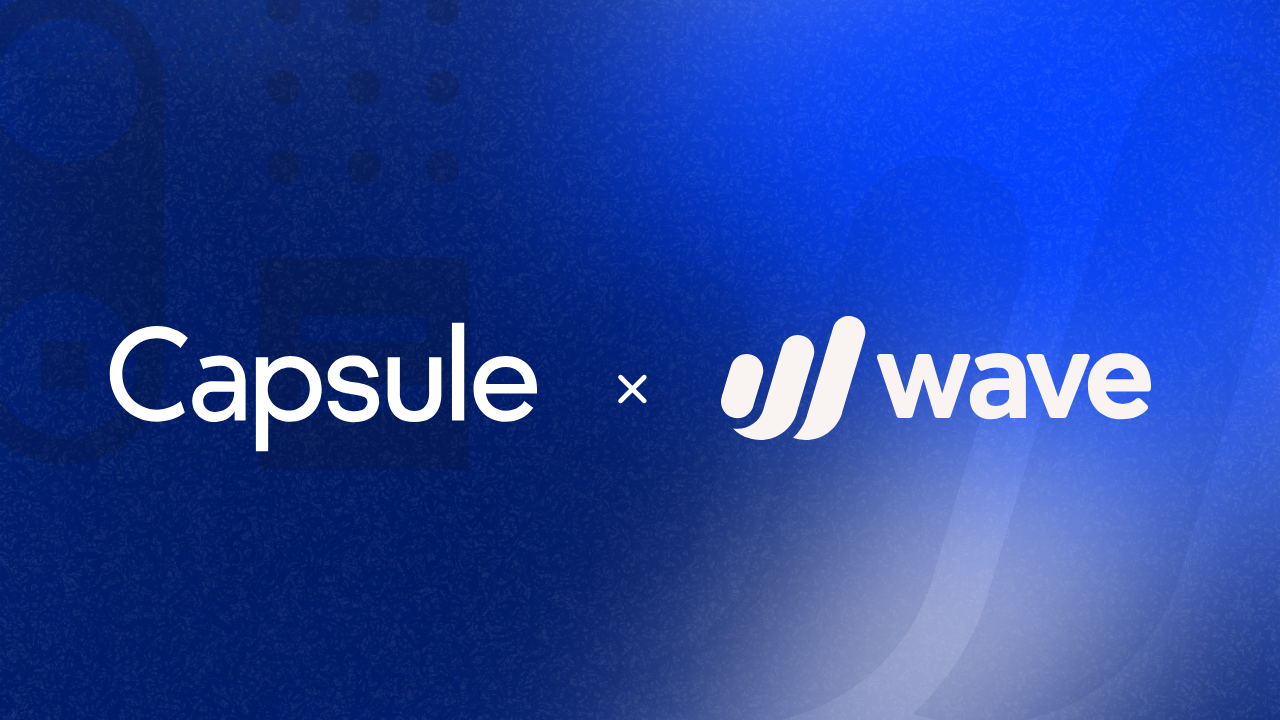 Wave: simple sales; fuss-free finances 