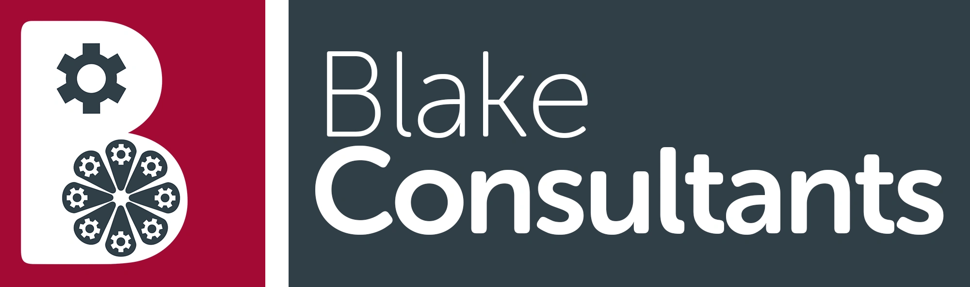 Blake Consultants