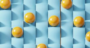 CRM Basics: Key features for business success