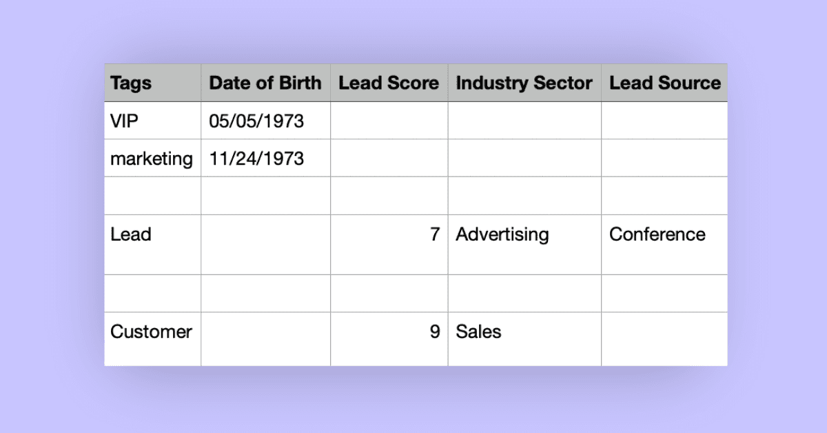 A screenshot of Tags and Custom Fields you could add to your records when you import a spreadsheet