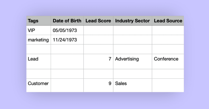 A screenshot of Tags and Custom Fields you could add to your records when you import a spreadsheet