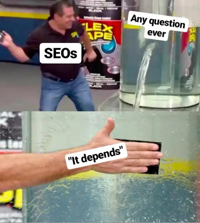 seo it depends meme