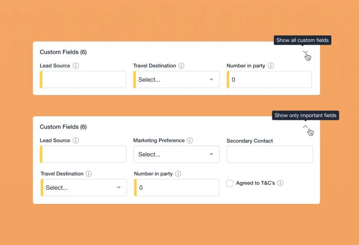 a screenshot of a custom field and a screenshot of only important fields .
