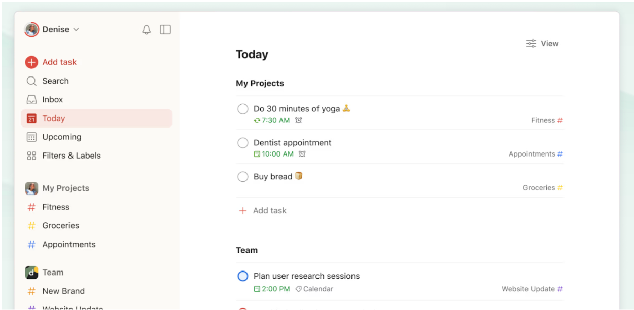 Todoist project management