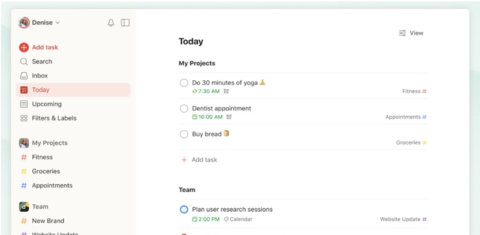 Todoist project management