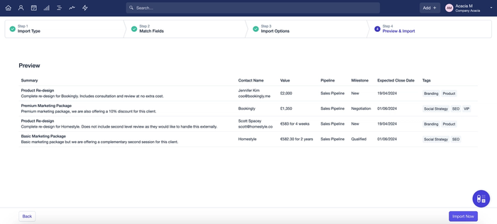 Showing preview step of Opportunity Import
