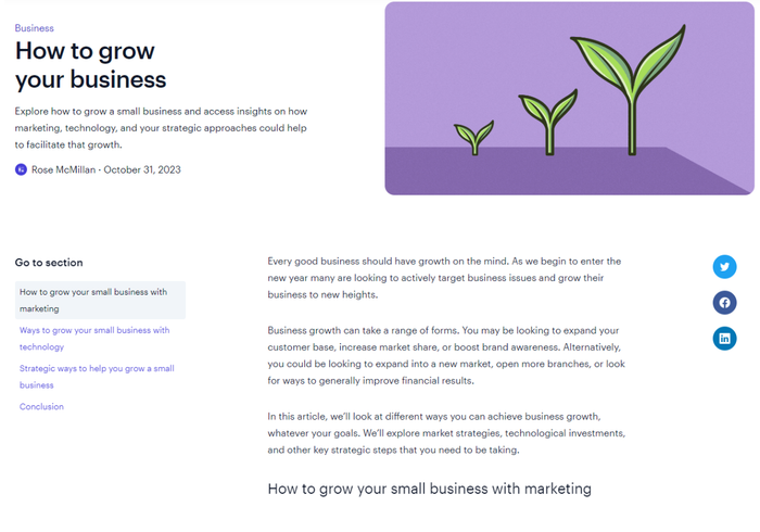 Capsule grow your business blog