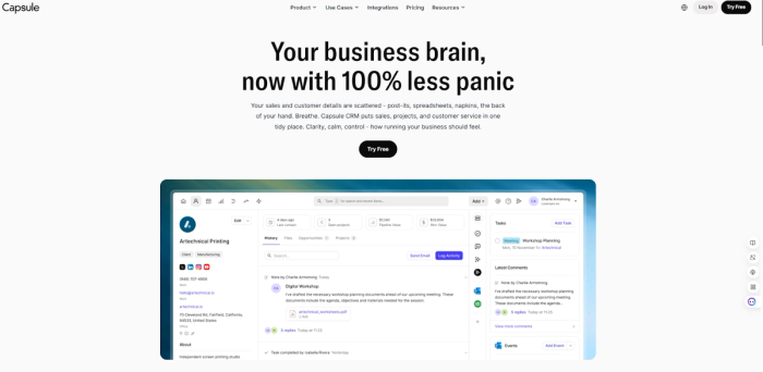 Capsule CRM website homepage with the headline "Your business brain, now with 100% less panic" above a screenshot of its customer and task management interface.