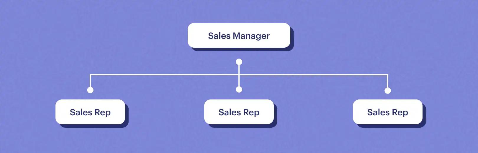 island model for sales team