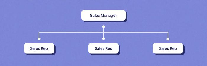 island model for sales team