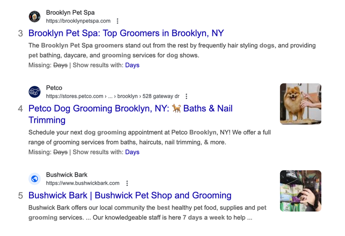 A Google search for Best Dog Grooming in Brooklyn – Open 7 Days a Week!