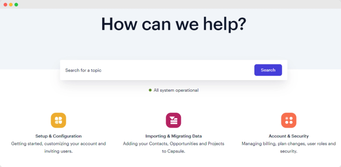Capsule CRM support options