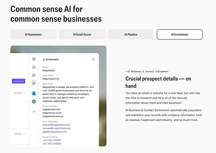 Screenshot of a business AI platform with 'AI Enrichment' selected, displaying company contact and description details for 'Magnetized Ltd'.