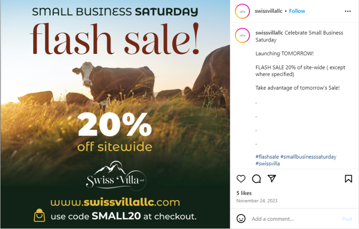 an advertisement for a small business saturday flash sale