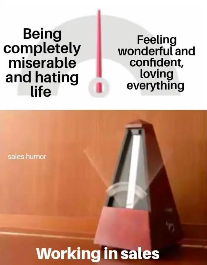 working in sales meme