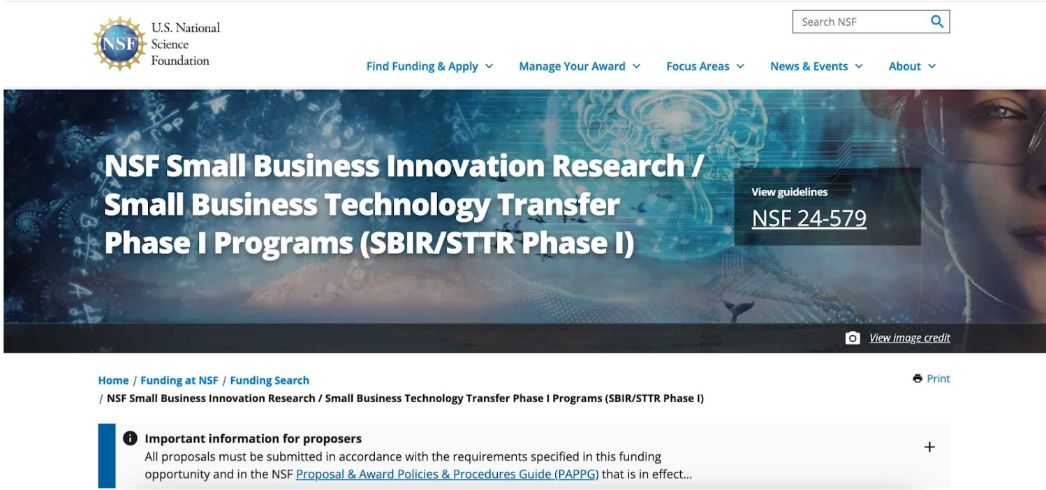 NSF small business loan