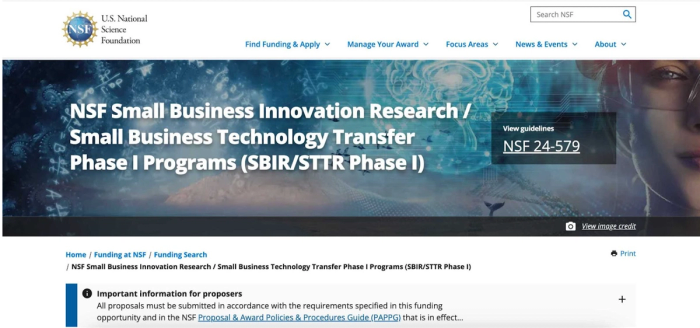 NSF small business loan