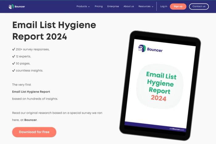 Bouncer email list hygiene
