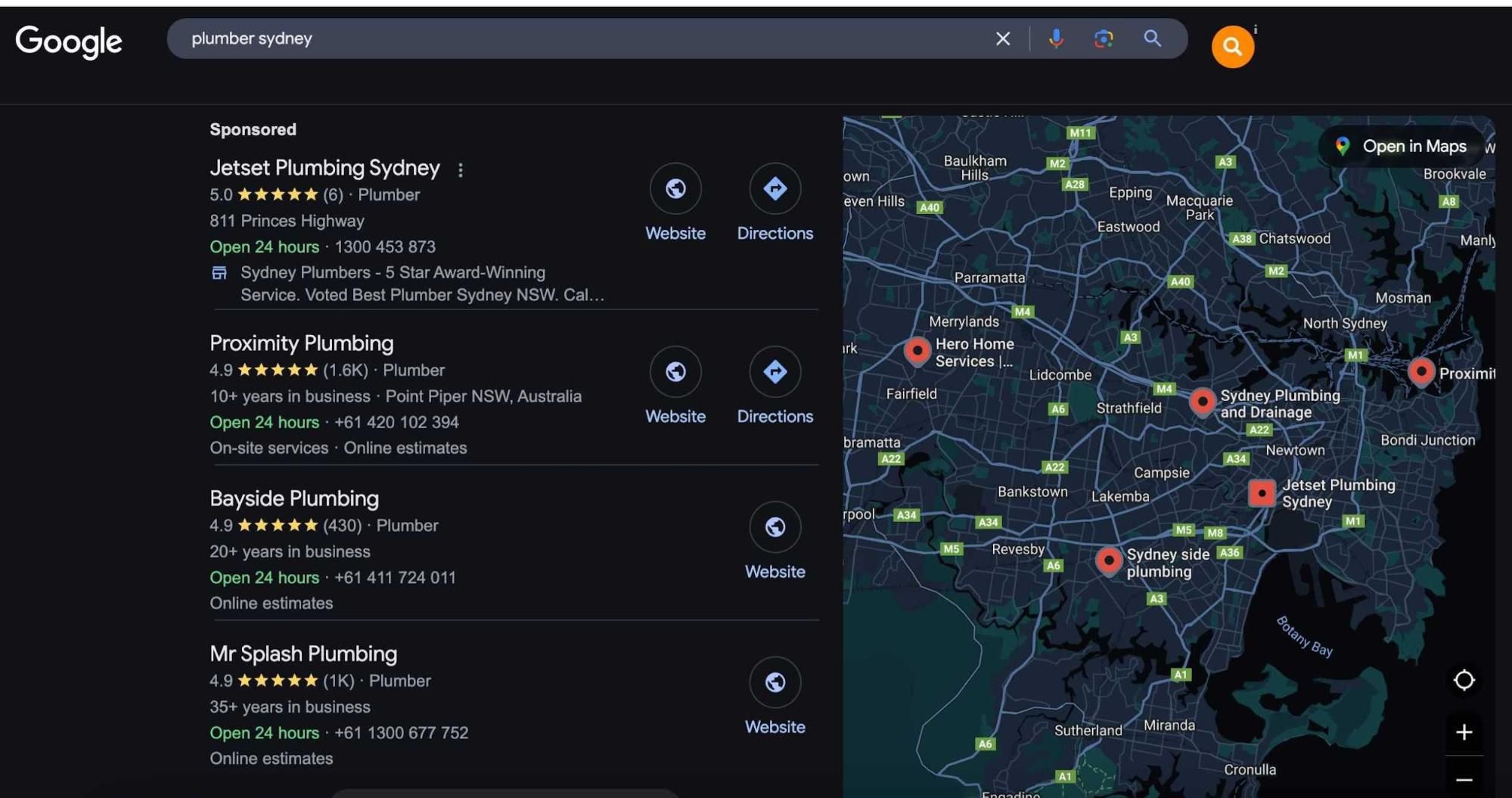 Google search for plumber in Sydney.