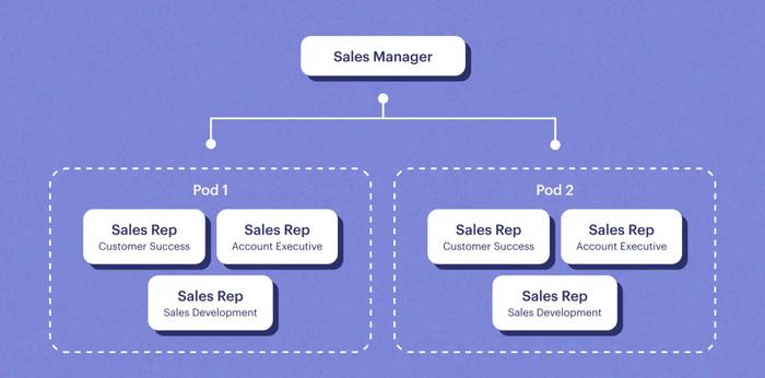 pod model for sales team