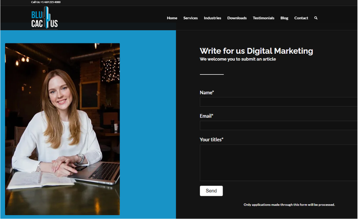 BluCactus guest blog