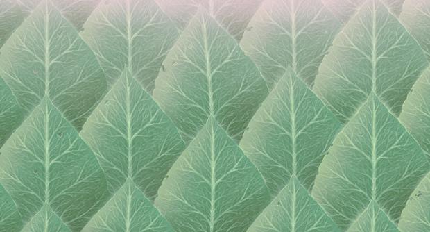 Evergreen gold: creating Affiliate content that continuously converts