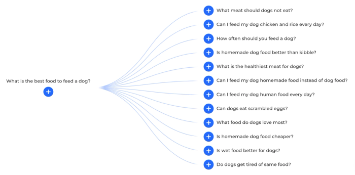 A list of questions about what is the best food to feed a dog.
