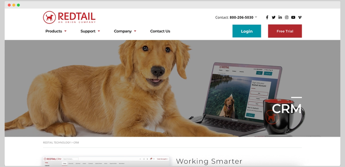 Redtail CRM homepage with a golden retriever lying next to a laptop displaying a Redtail login screen and a black coffee mug.