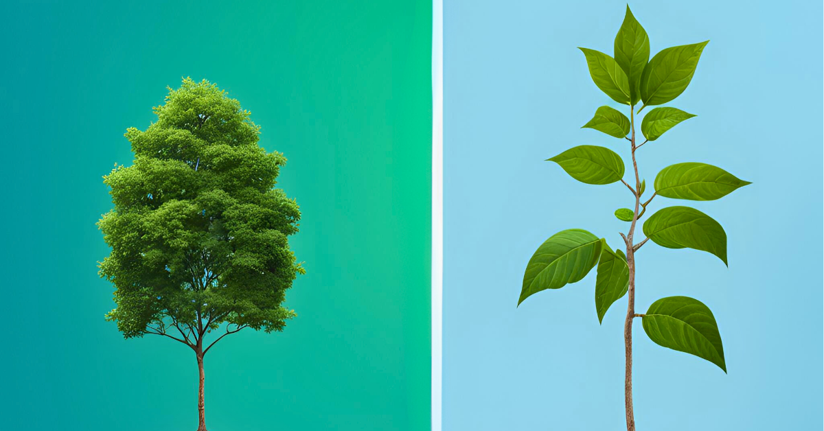 What is your digital marketing maturity?