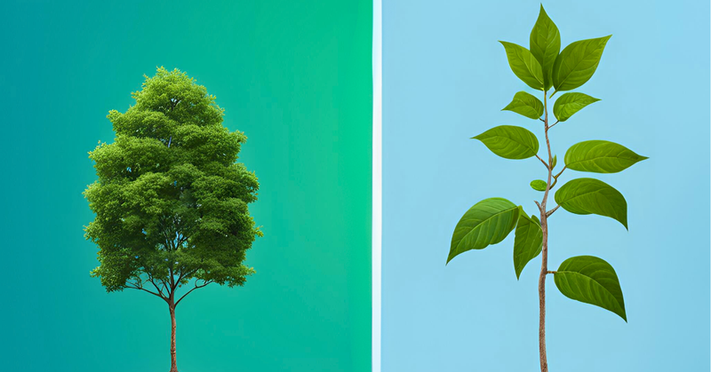 What is your digital marketing maturity?