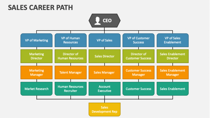 sales career path