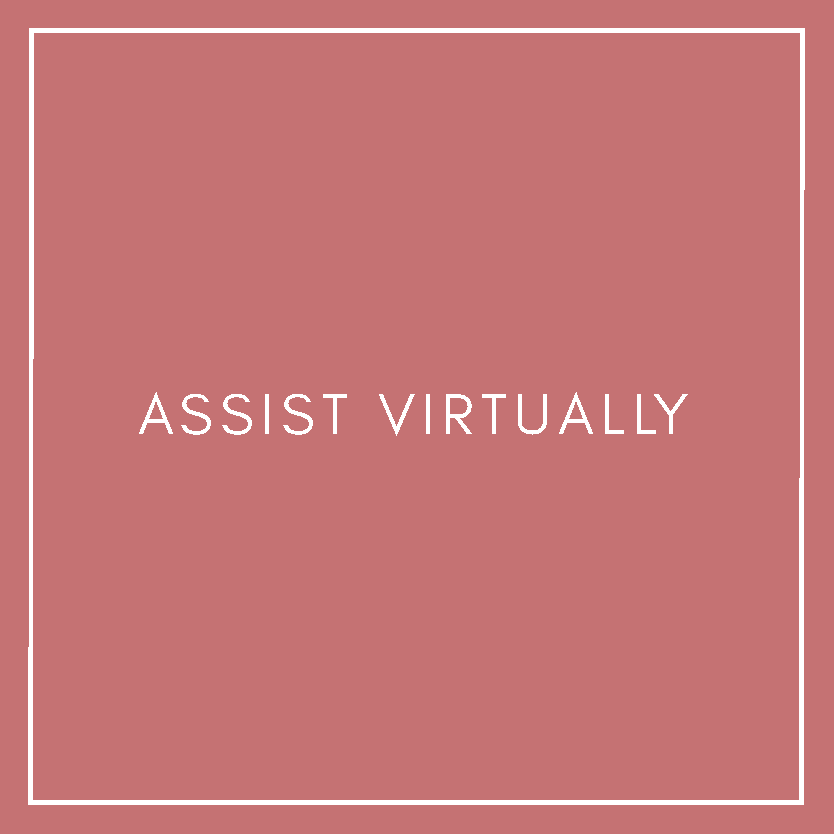 Assist Virtually