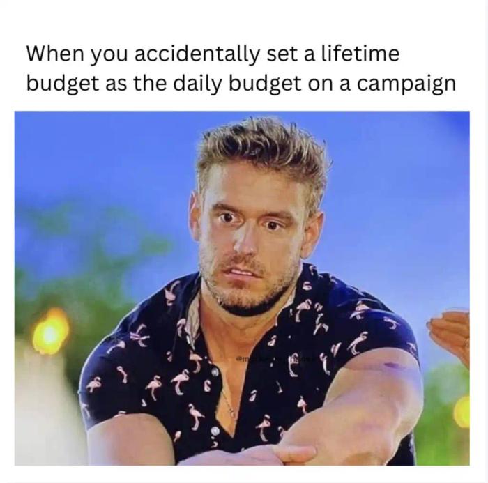 campaign budget meme