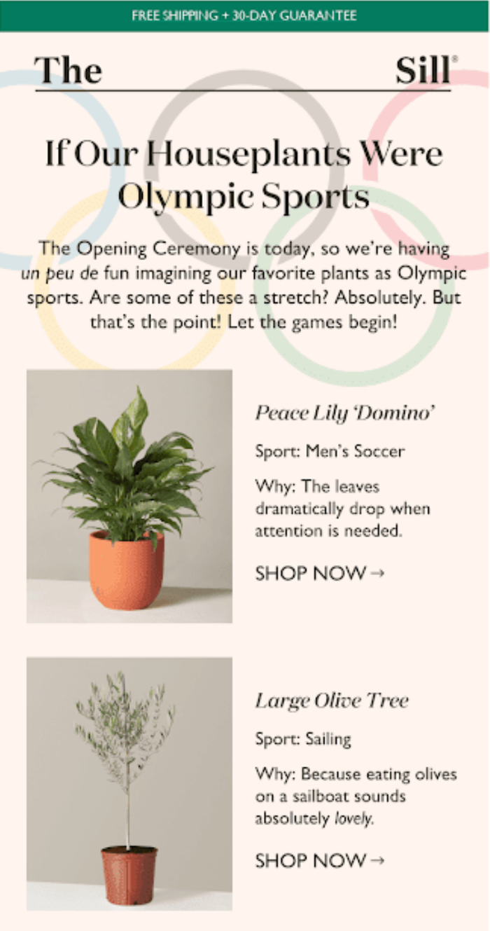The sill olympic house plants