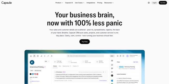 Capsule CRM website displaying its headline 'Your business brain, now with 100% less panic' and a preview of the software interface.