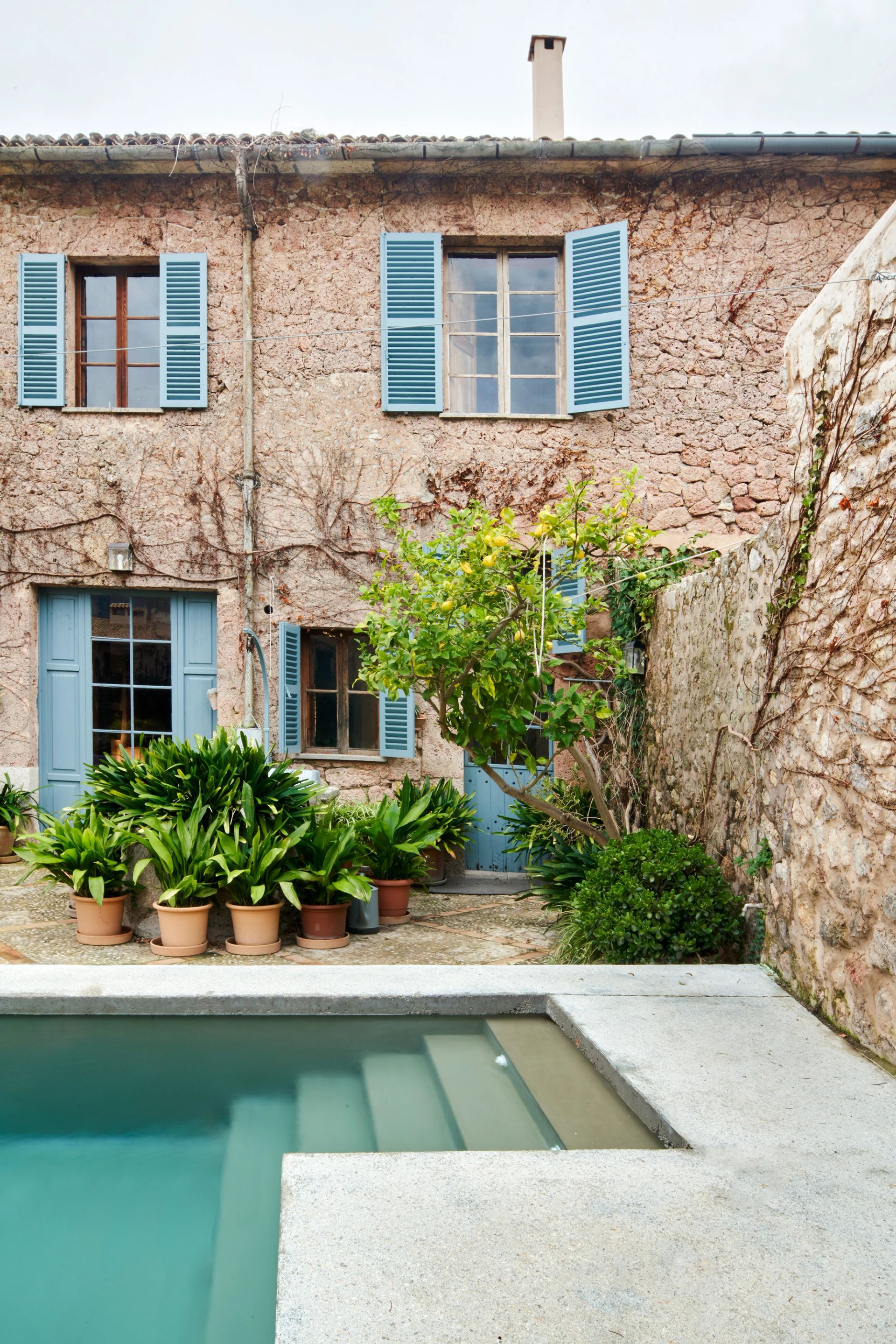 VALLDEMOSSA 006