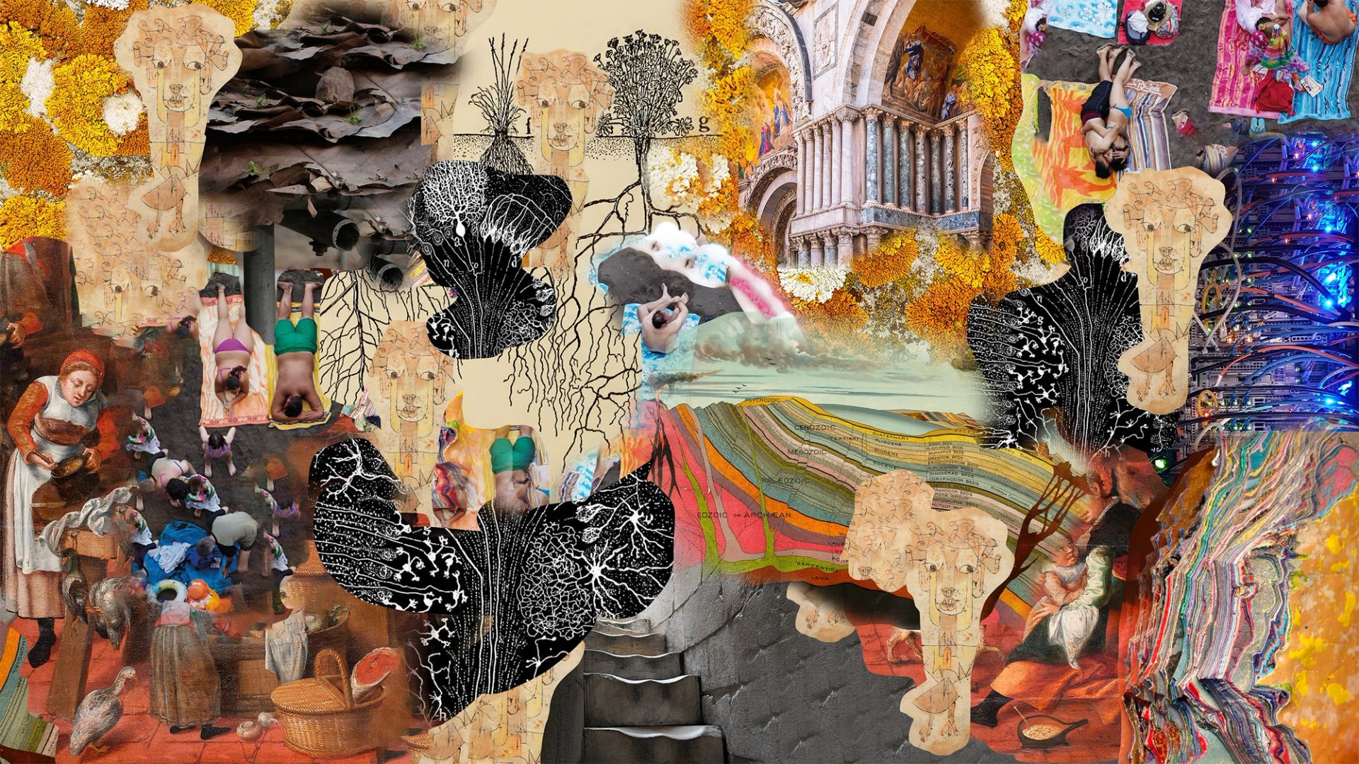 collage-becoming-ok-1