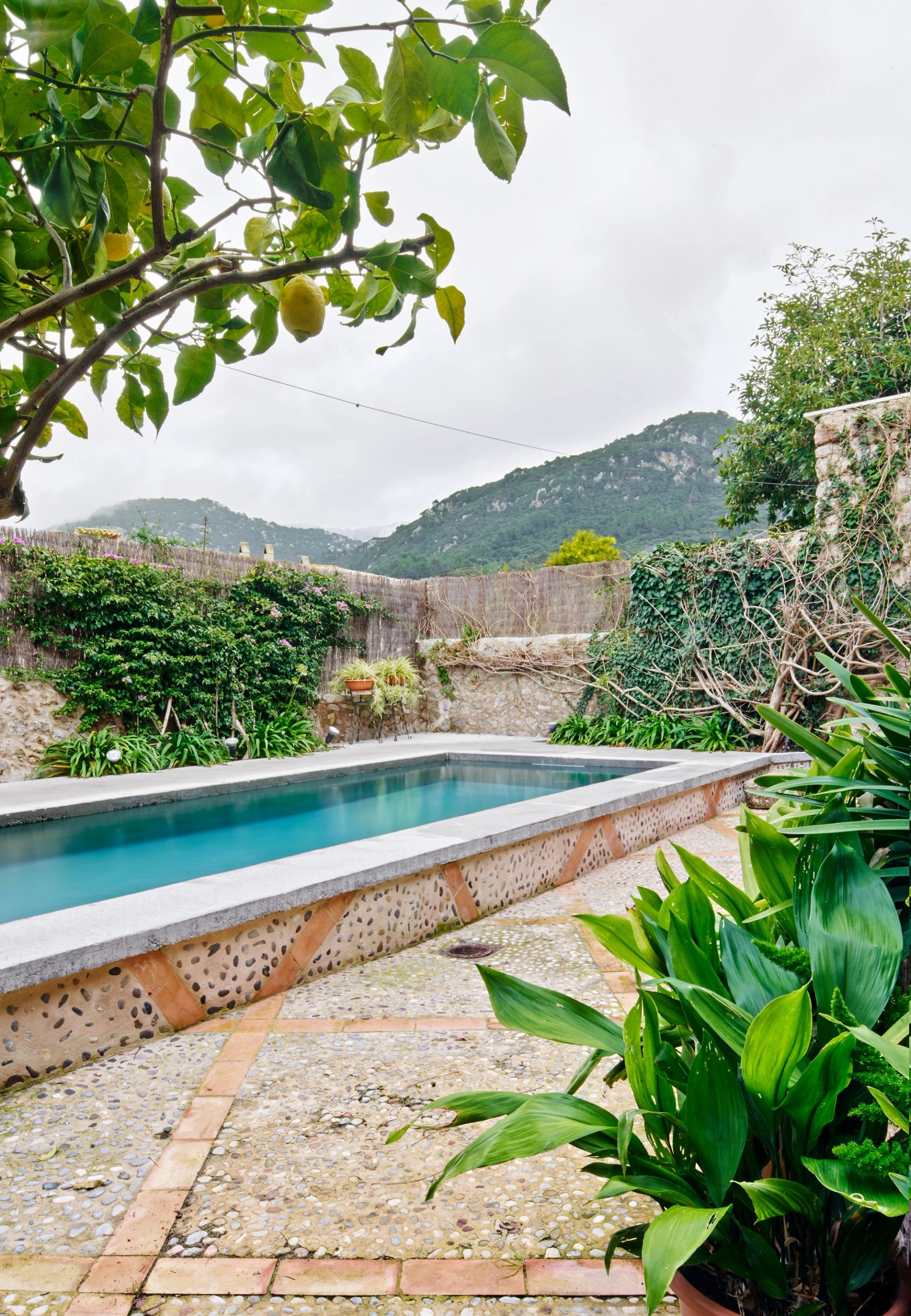 VALLDEMOSSA 004