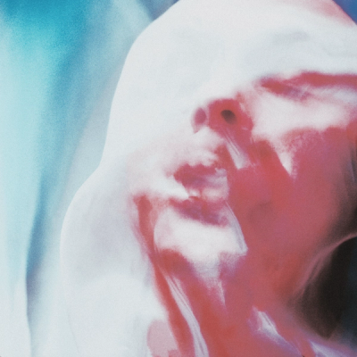 Mourning Dove by Second Harbour