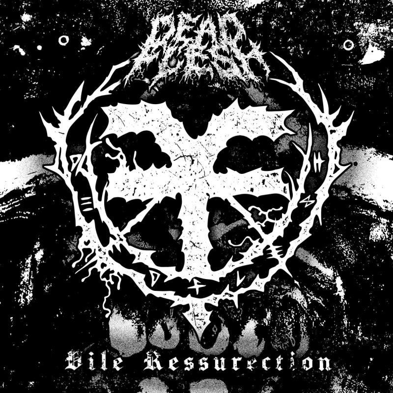Single Review: Dead Flesh - Vile Resurrection