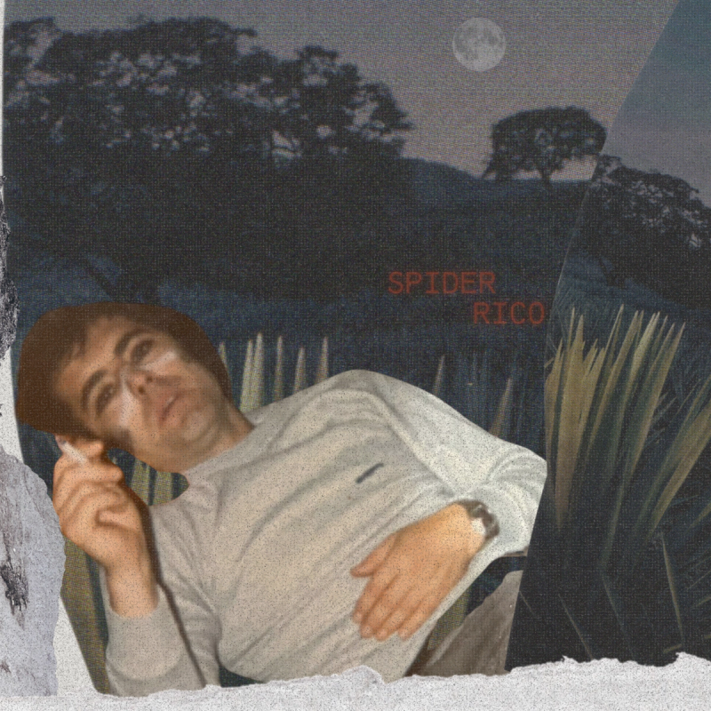 Spider Rico by BREATHER