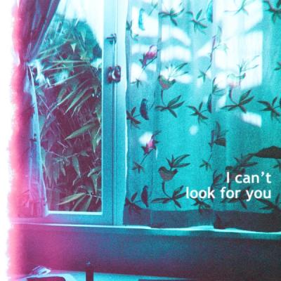 I Can't Look for You by Bad Neighbour