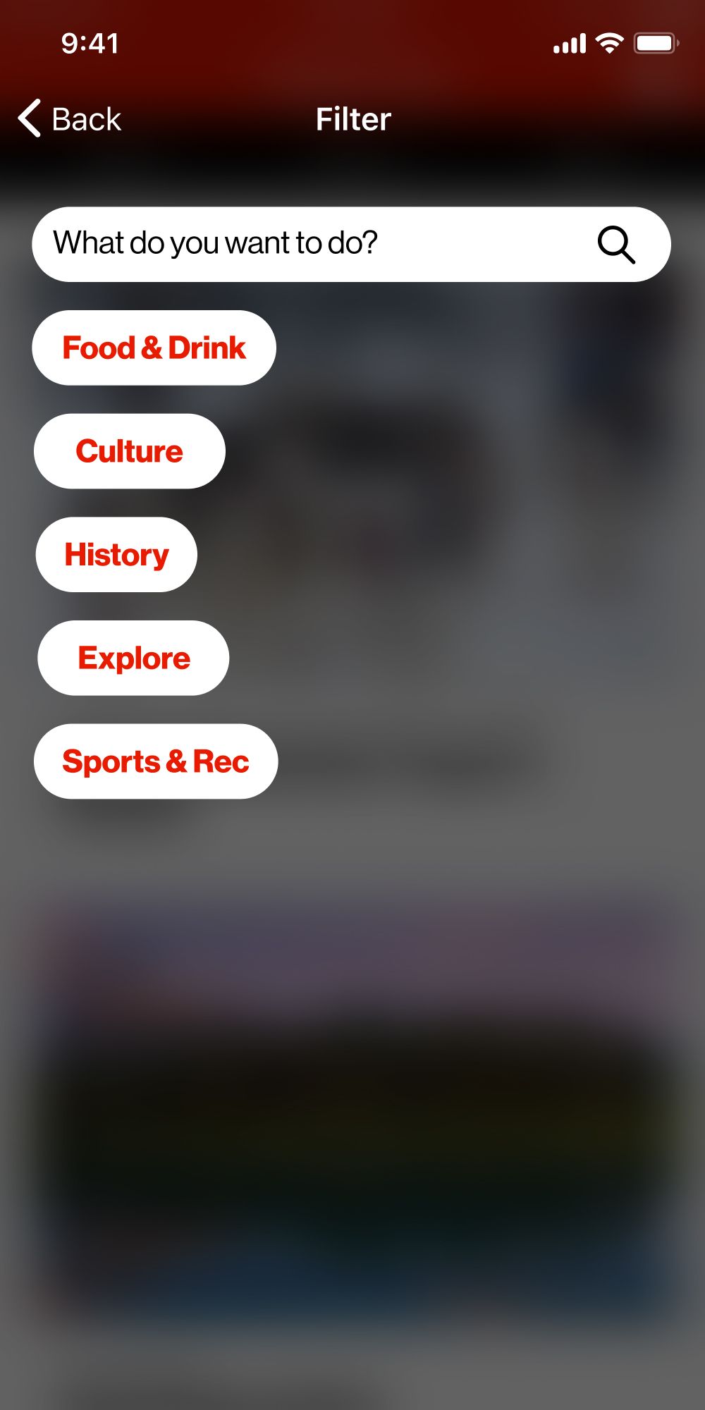 Search Filter