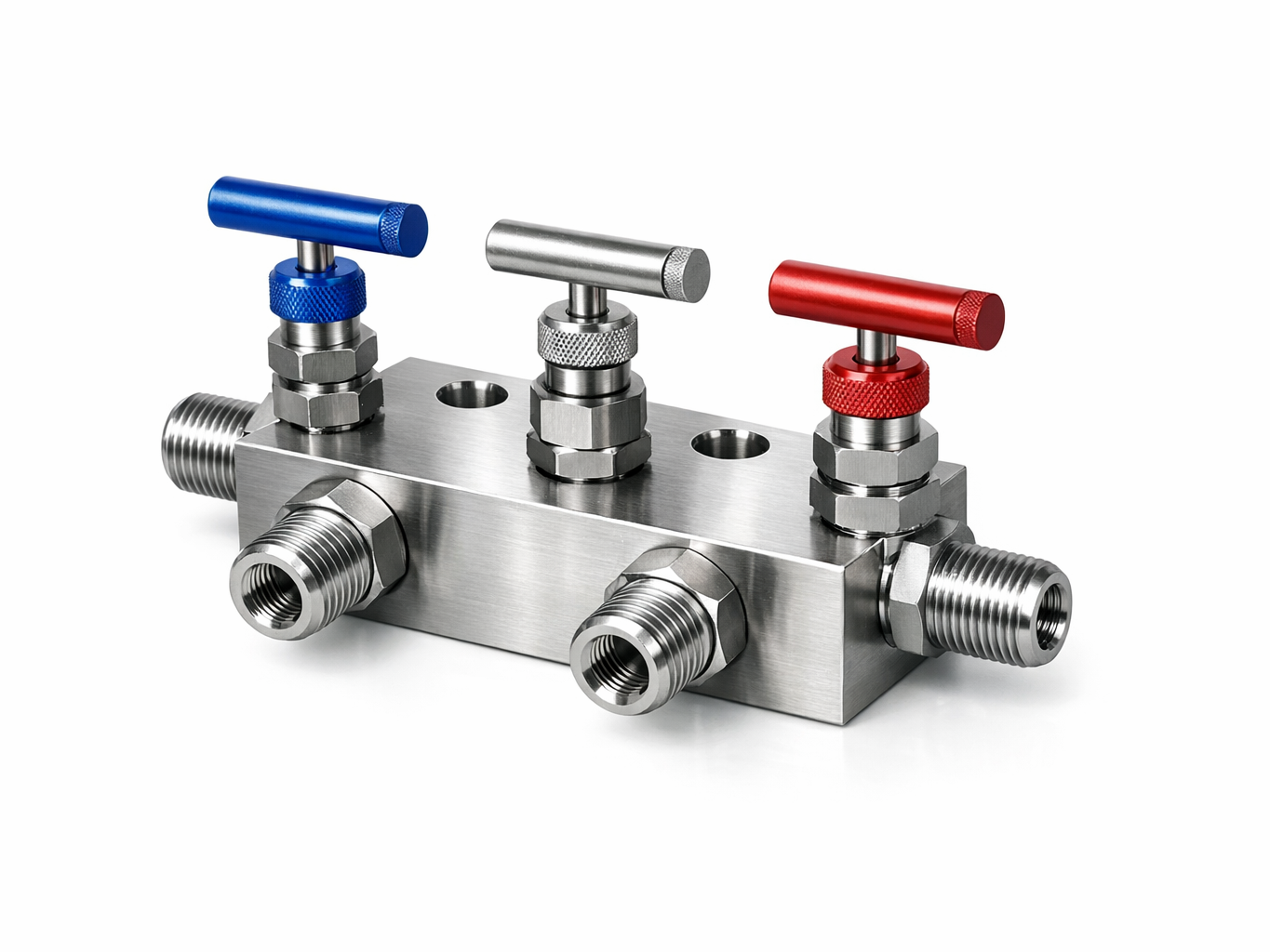 Manifold Valves