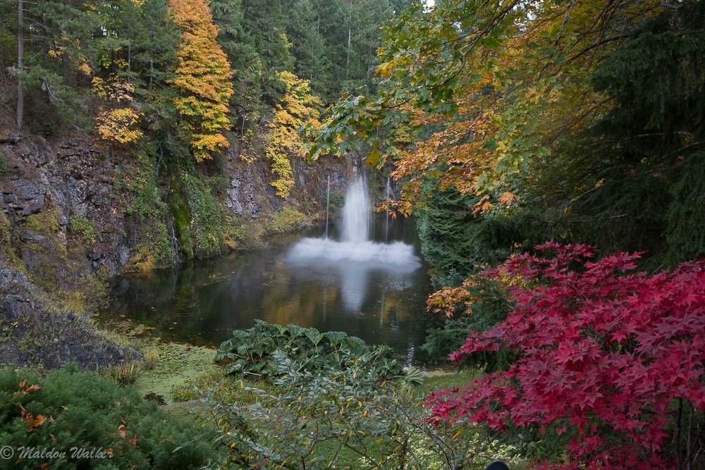 Fountain sprays in a forest pond surrounded by autumn foliage